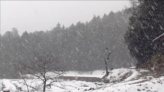 农村风光_下雪_1920x1080_高清视频素材下载(编号:8)