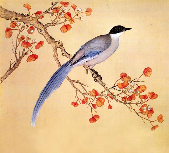 故宫鸟谱011山喜鹊仿古画复制名人字画名家书画29x32花鸟画小品