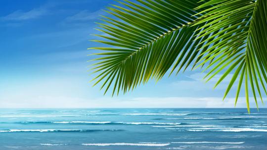 海滩视频素材