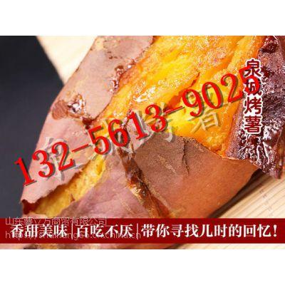 县城创业烤红薯加盟哪家好,一只小红薯实力好项目