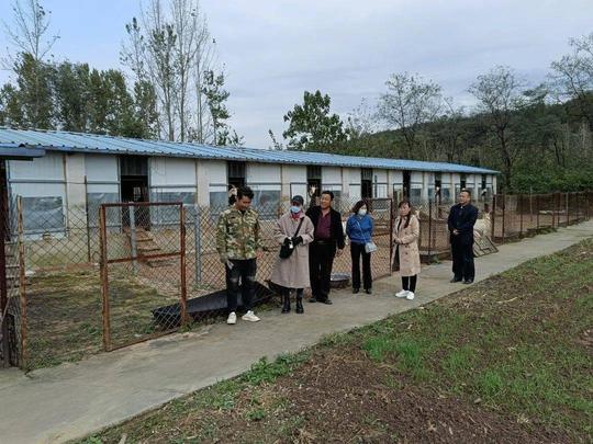 湖北当阳盛鹏达文化旅游开发有限公司,湖北返乡创业示范典型人选名单公布!这些县市公园项目上榜(图5)