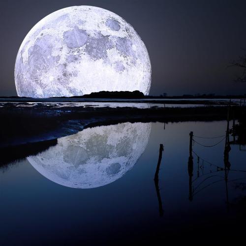 月亮下的夜晚图片素材免费下载-千图网www.58pic.com