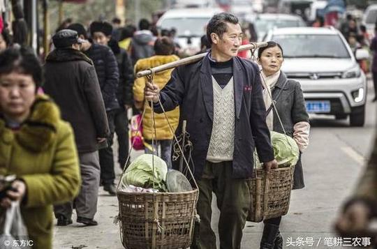 未来5年,农村这3个行业会很赚钱,现在入行还不晚,早知道好准备