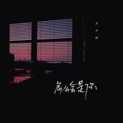 怎么会是你(苏星婕)