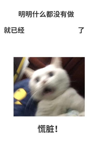 明明什么都没做就已经壁纸图片
