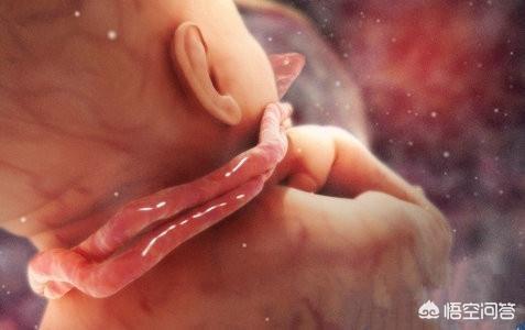 孕期胎儿的大小便怎么解决