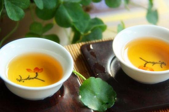 鸭屎香是什么茶功效