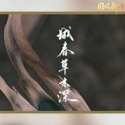 城春草木深(河图)
