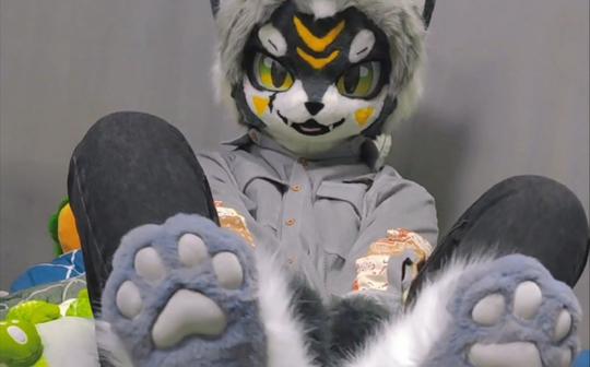 狗狗的爪袜兽装fursuit