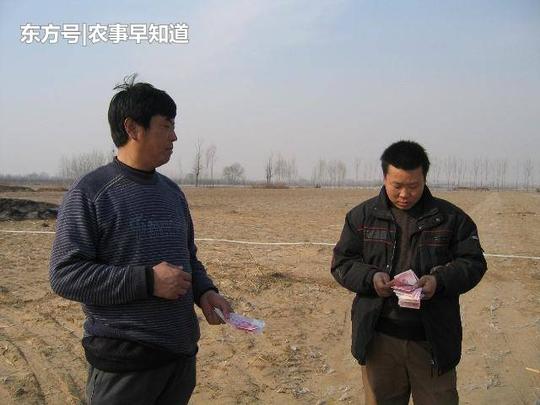 这几年,在农村最赚钱的3个行业,虽说不是"暴利",但却不差钱