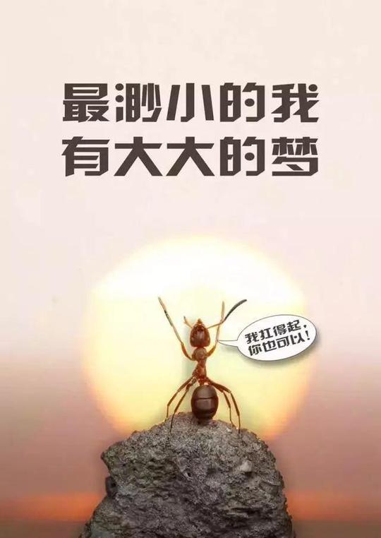 马云:当你迷茫时不知道该如何选择创业时,一定要记住