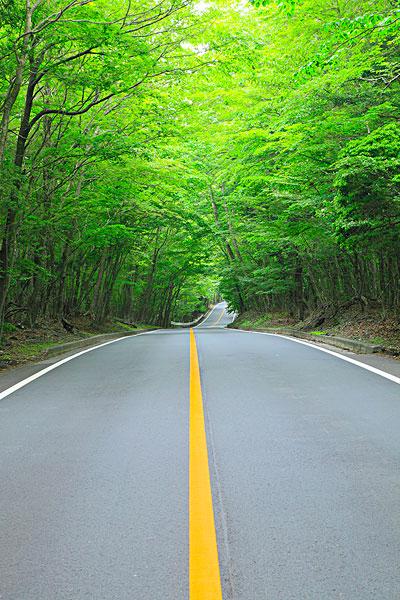 道路_乡村_图片大全—全景创意图库（quanjing.com）中国领先的正版图片视频素材网站