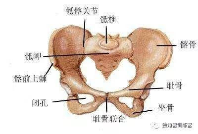 产后屁股疼是怎么回事?
