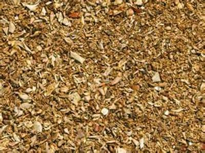养牛饲料新思路:苹果渣和玉米秸秆喂牛,效益好!
