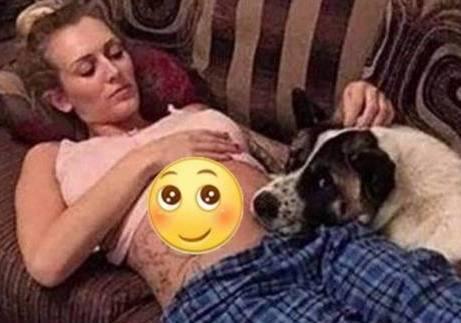 怀孕家里有宠物怎么办