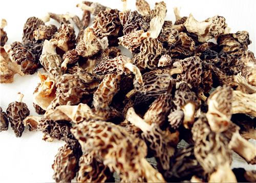 2019羊肚菌最新价格行情怎样?是多少钱一斤?附人工栽培技术