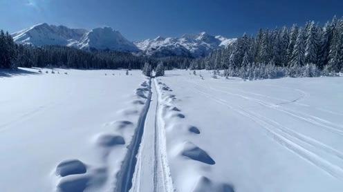 下雪天风景视频素材