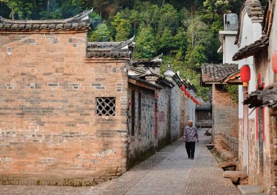 这座被《国家地理》发觉的冷门小城,春节有十万樱花绽放