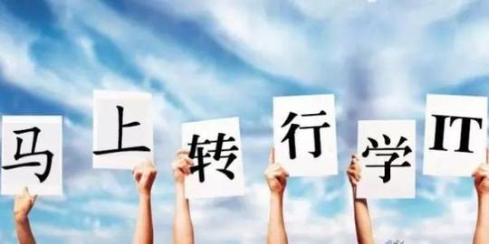 30岁转行做初级程序员是一种怎样的体验?