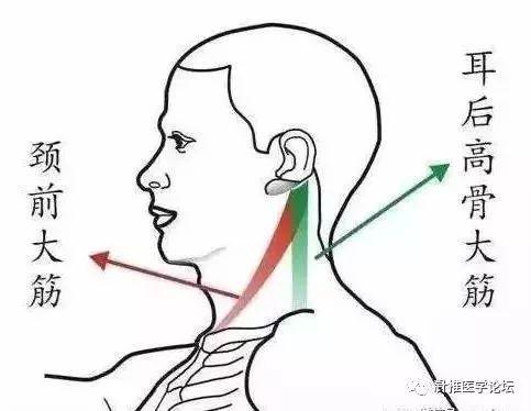 治疗肾结石的偏方大全