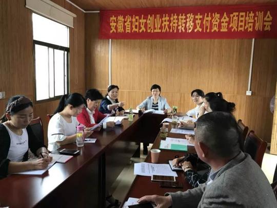 罗岭镇召开2018年省妇女创业扶持转移支付资金项目培训会