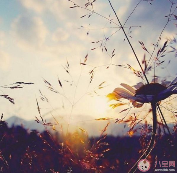 2020年仅剩100天朋友圈说说文案