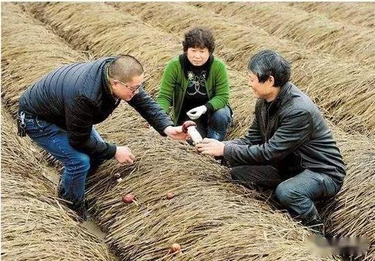 暴利生意！农村3个“冷门行业”，干好年赚10万不难，农民却不敢干，为啥？