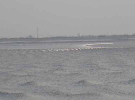 海宁盐官钱塘江潮9月22日低温多云.