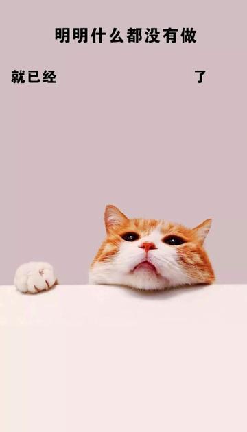 明明什么都没做就已经壁纸图片