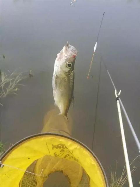 惊艳一句话文案2020