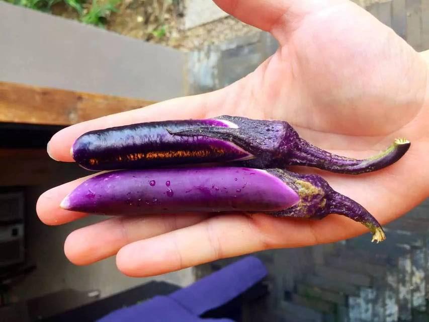 周一上班的熊样搞笑gif表情图片