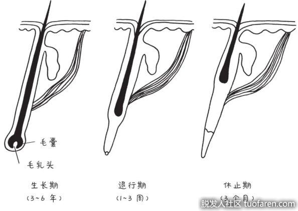 宝宝头发有