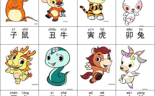 十二生肖拼音,十二生肖带拼音读法?-收藏窝