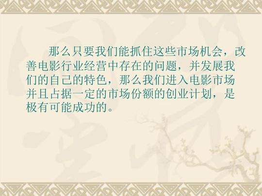 大型电影传媒影视公司项目创业商业计划书ppt