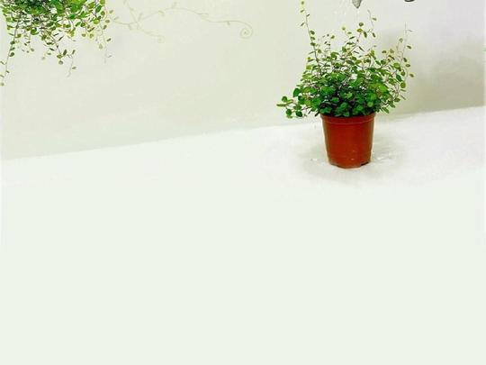 当前第4页)你可能喜欢华为ppt素材库ppt背景图片免费下载ppt素材