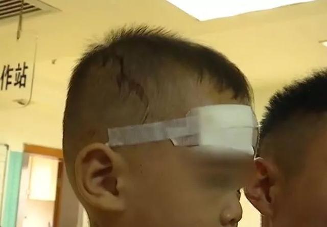 家有小宝宝哪些要注意