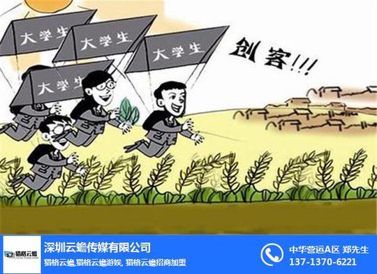 西藏网红在做什么项目?_云蟾传媒(推荐商家)