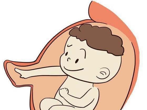 为什么躺下胎动就频繁