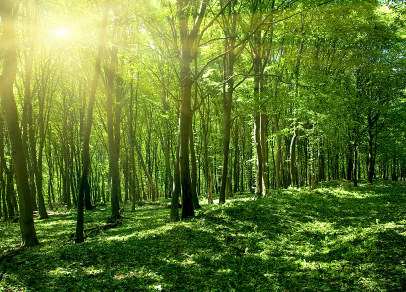 出远门舍不得小孩子的心情说说