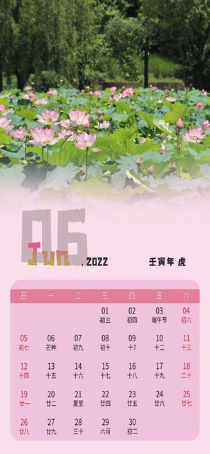 以家人之名追剧日历