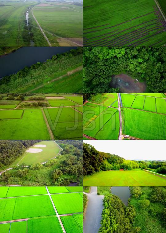农业专题片素材大田作物粮食种植粮食大丰收三农问题农粮补贴农业补贴