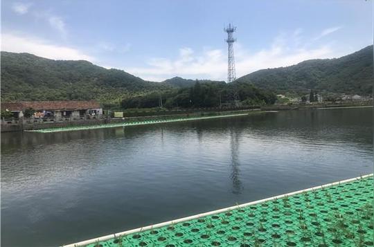 绍兴积极建设新农村孵化青年创业梦想