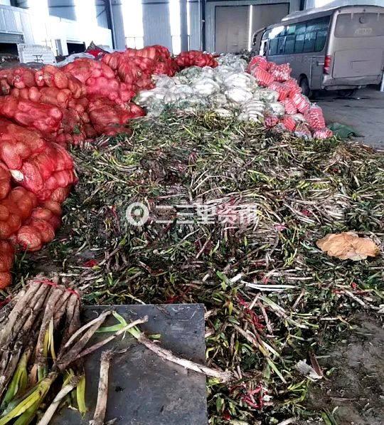 贵州捐给鄂州的蔬菜烂在仓库当地官方回应系长途运输