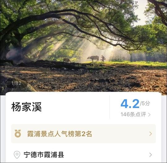 福建杨家溪网红景点老农牵牛:人工制造晨雾