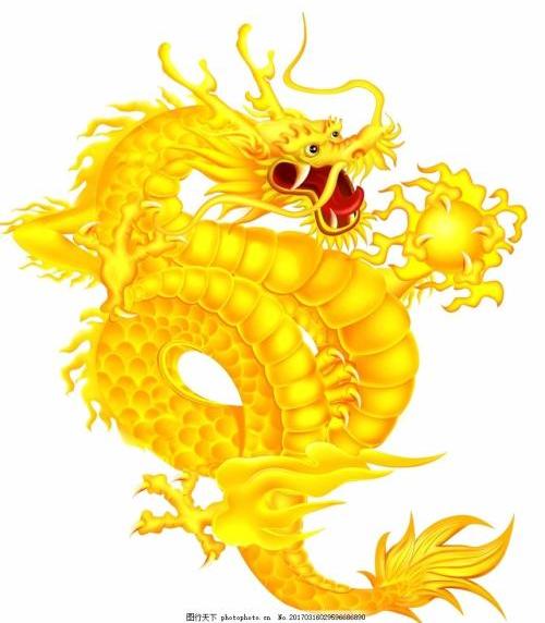 金龙金色中国龙双龙戏珠龙珠龙素材大全中国传统龙文化