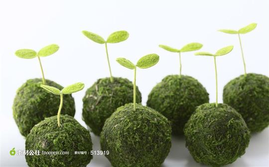 豆芽泥团环保背景-素材公社tooopen.com