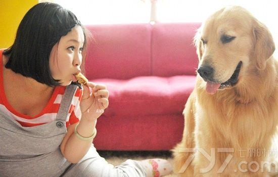 家有宝宝怎么饲养猫狗