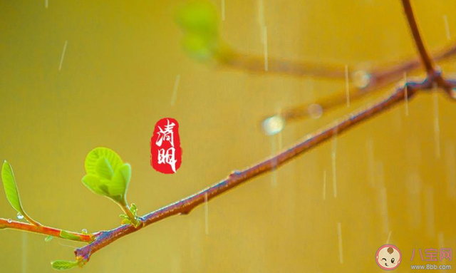适合春天踏青发朋友圈的文案