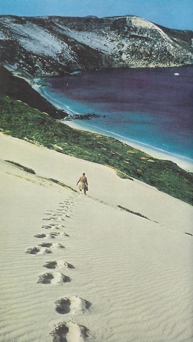 思念往昔-唯美意境伤感风景个性素材意境图片