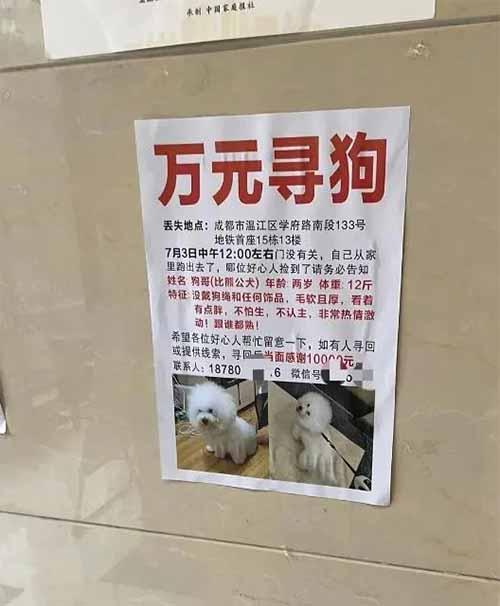 寻宠师一天2单赚10000，两个月赚10万的赏金寻宠偏门暴利项目